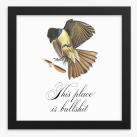 This Place Is Bullshit Framed   Srcset Data - Scrub Jay, HD Png Download, Transparent PNG
